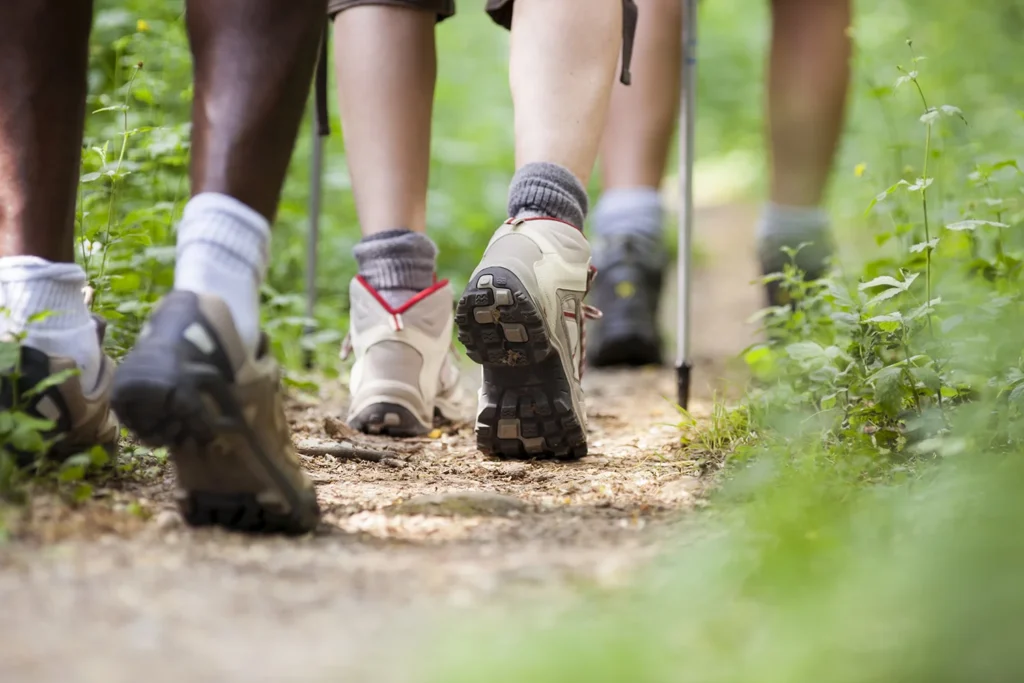 shoes of people trekking in wood and walking